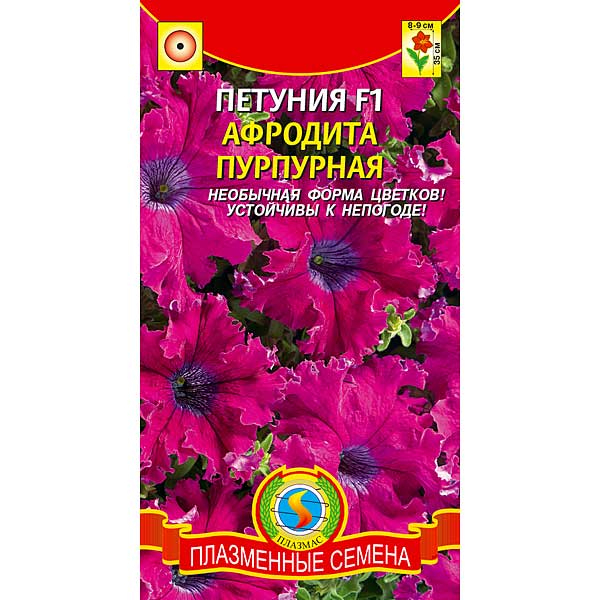 Петуния Афродита Пурпурная Плазма Ц 