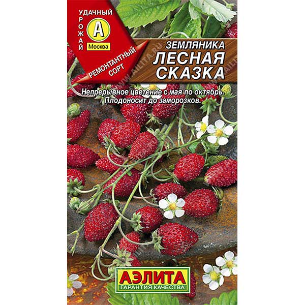 Земляника Лесная сказка Аэлита Ц