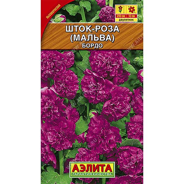 Шток-роза Бордо  Аэлита Ц 