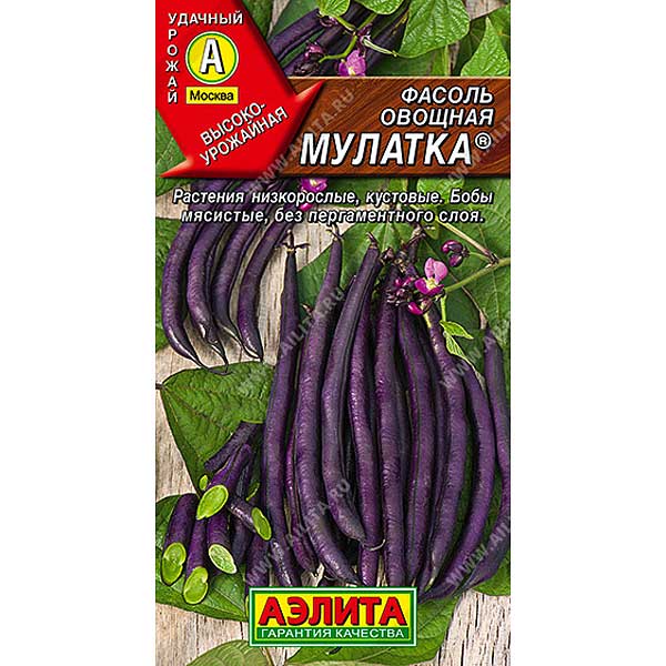 Фасоль Мулатка Аэлита Цх10
