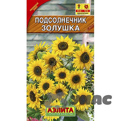 Подсолнечник Золушка Аэлита Ц 