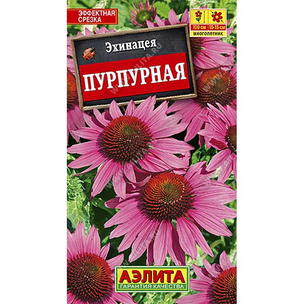 Рудбекия Пурпурная (эхинацея) Аэлита Ц 