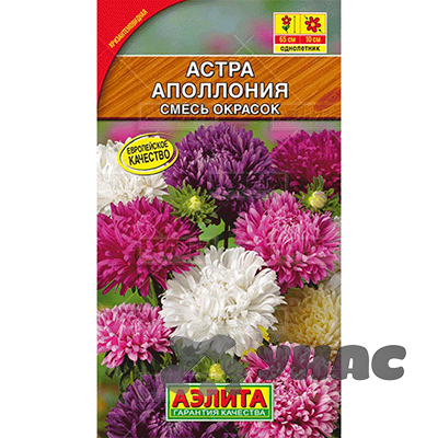 Астра Аполлония смесь  Аэлита Ц 