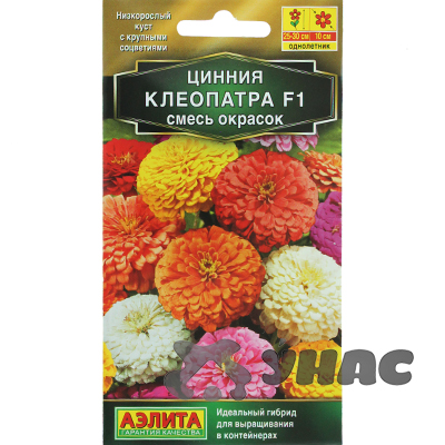 Циния Клеопатра смесь окрасок Аэлита Ц 