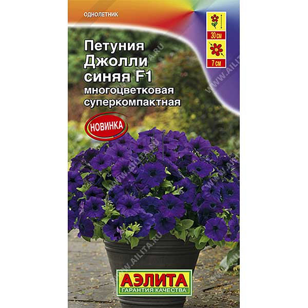Петуния Джолли синяя Аэлита Ц 
