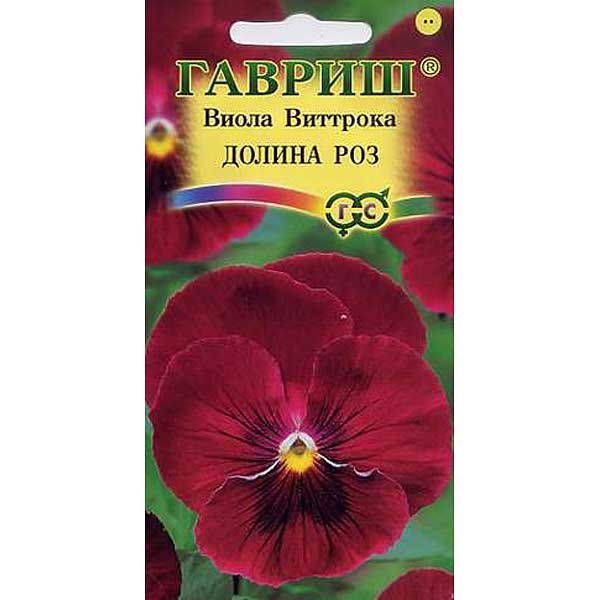 Виола Виттрока Долина Роз Гавриш Ц 