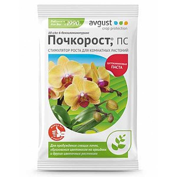 Почкорост 1,5гр. Август х100 