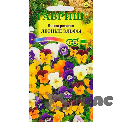 Виола рогатая Лесные Эльфы Гавриш Ц 