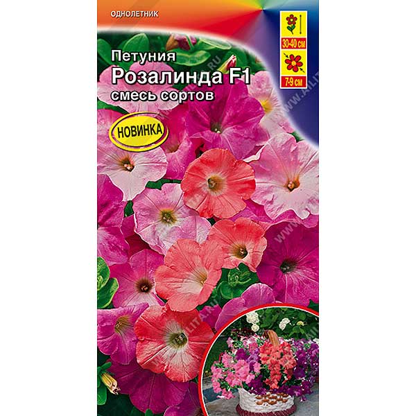 Петуния Розалинда  Аэлита Ц 