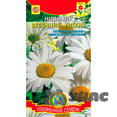 Нивяник Весенний Гигант Плазма Ц 