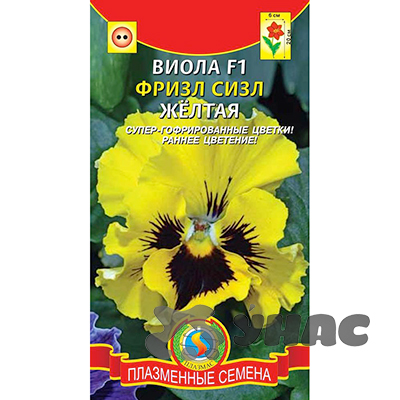 Виола Фриззл Сиззл Желтая Плазма Ц 