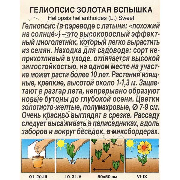 Гелиопсис Золотая вспышка Аэлита Ц 