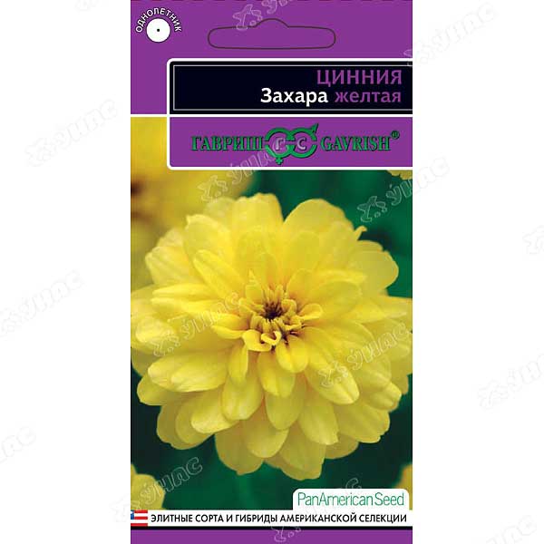 Циния Захара желтая Гавриш Ц 