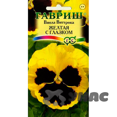 Виола Виттрока Желтая с глазком Гавриш Ц 