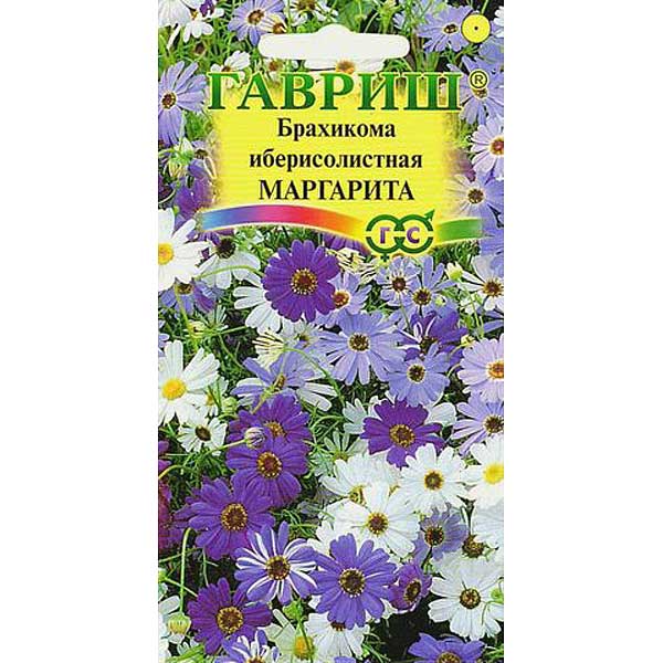 Брахикома Иберисолистная Маргарита Гавриш Ц 