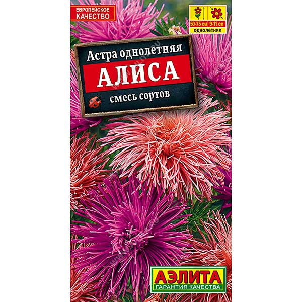 Астра Алиса смесь Аэлита Ц 