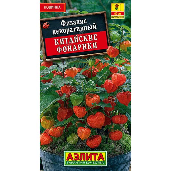 Физалис Китайские фонарики Аэлита Ц