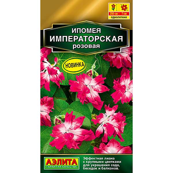 Ипомея Императорская розовая Аэлита Ц 