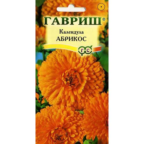 Календула Абрикос Гавриш Ц 