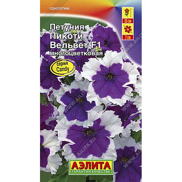 Петуния Пикоти Вельвет Аэлита Ц – купить оптом от производителя