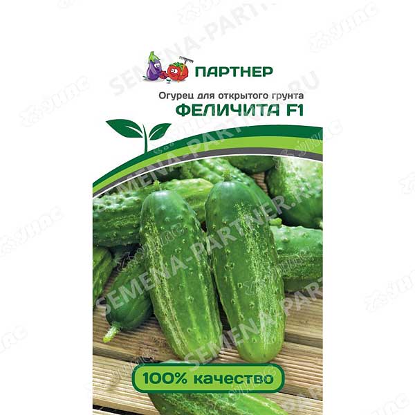 Огурец Феличита Партнер Ц