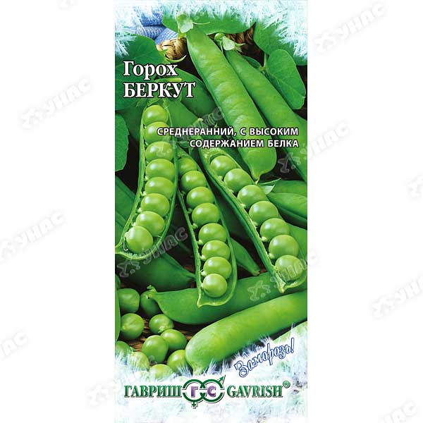 Горох Беркут Заморозь! Гавриш Ц