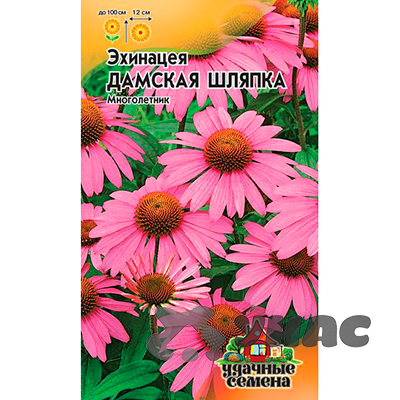 Эхинацея Дамская шляпка Уд сем Гавриш Ц 