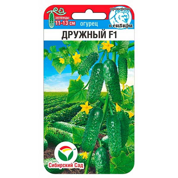 Огурец Дружный СибСад Ц