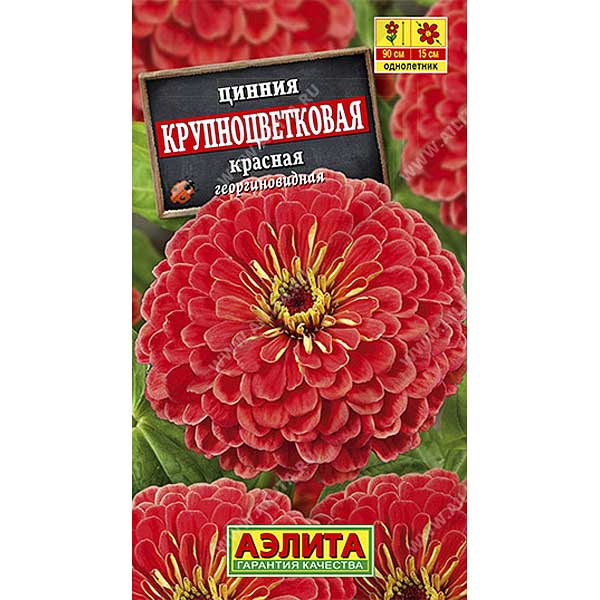 Циния Крупноцветковая красная Аэлита Ц х10 