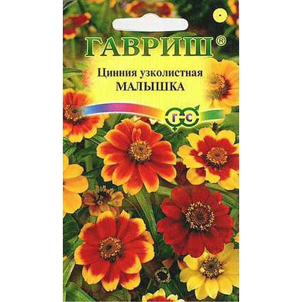 Циния Малышка карликовая Гавриш Ц 