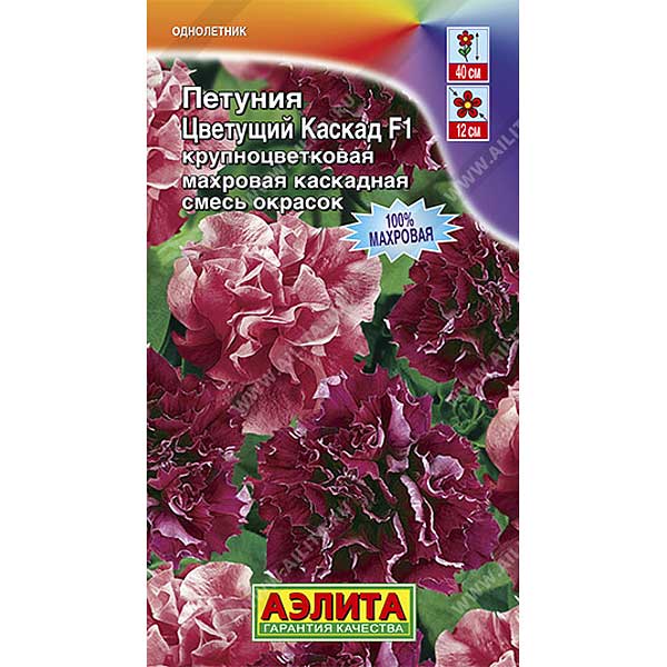 Петуния Цветущий каскад F1 Аэлита Ц 