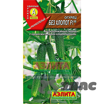 Огурец Без Хлопот Аэлита Ц