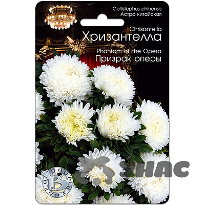 Астра Хризантелла Призрак оперы Биотехника Ц 