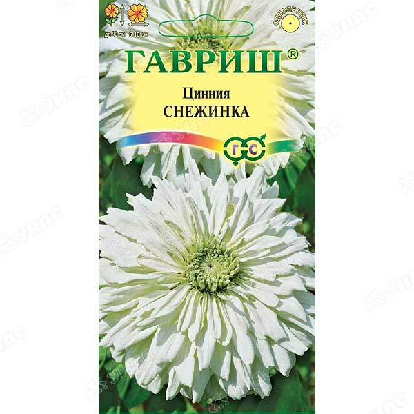 Циния Снежинка Гавриш Ц 