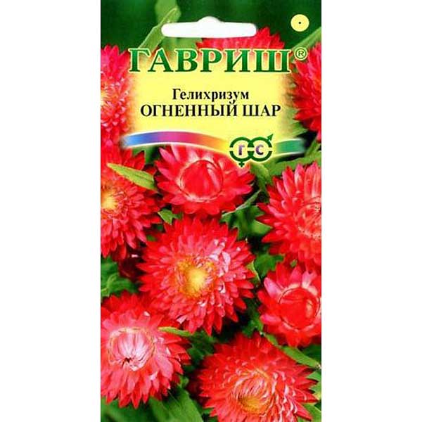 Гелихризум Огненный шар Гавриш Ц 