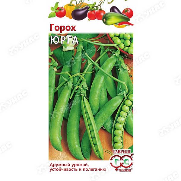 Горох Юрга Гавриш Ц