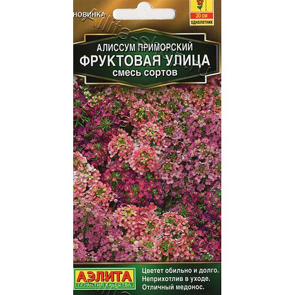 Алиссум Фруктовая улица Аэлита Ц 