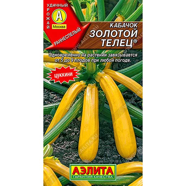 Кабачок Золотой Телец Аэлита Ц