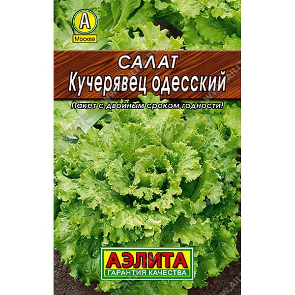 Салат Одесский кучерявец полукочанный Аэлита Ц"Лидер"