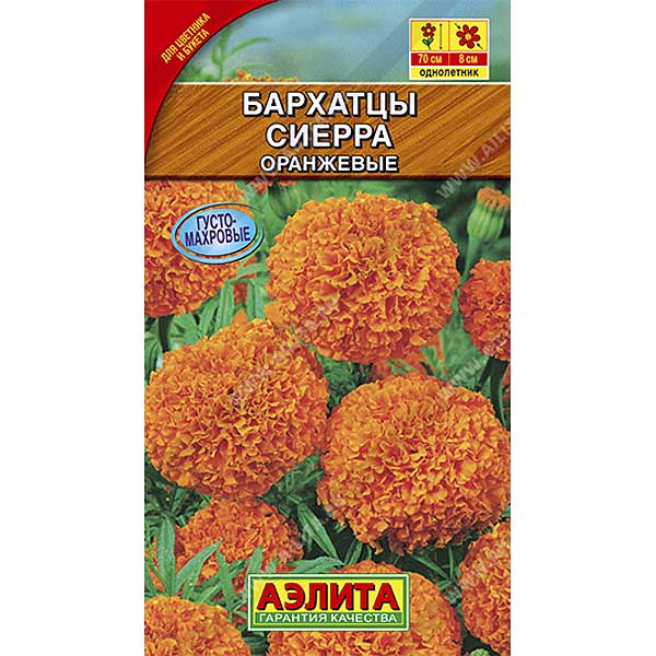 Бархатцы Сиерра оранж. Аэлита Ц 