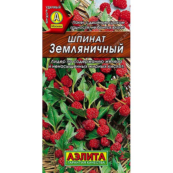 Шпинат Земляничный Аэлита Ц