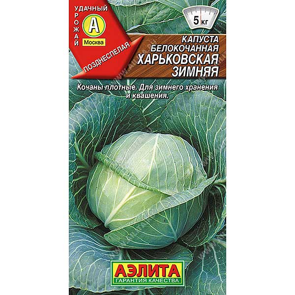 Капуста Харьковская зимняя Аэлита Ц