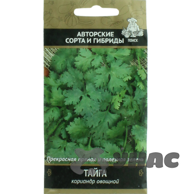 Кориандр Тайга Поиск Ц