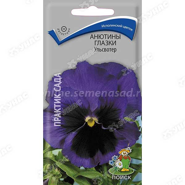 Анютины глазки Ульсвотер Поиск Ц 