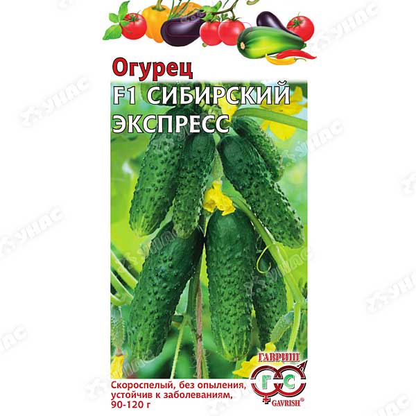 Огурец Сибирский экспресс Гавриш Ц x10