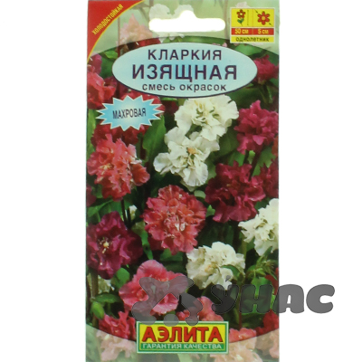 Кларкия изящная Аэлита Ц 