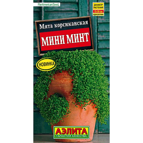 Мята Мини минт корсиканская Аэлита Ц