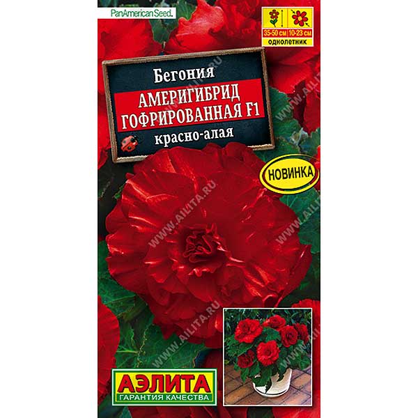 Ком Бегония Америгибрид красно-алая  Аэлита Ц 