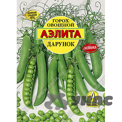 Горох Дарунок Аэлита Цх10