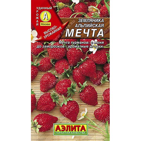 Земляника Альпийская мечта Аэлита Ц